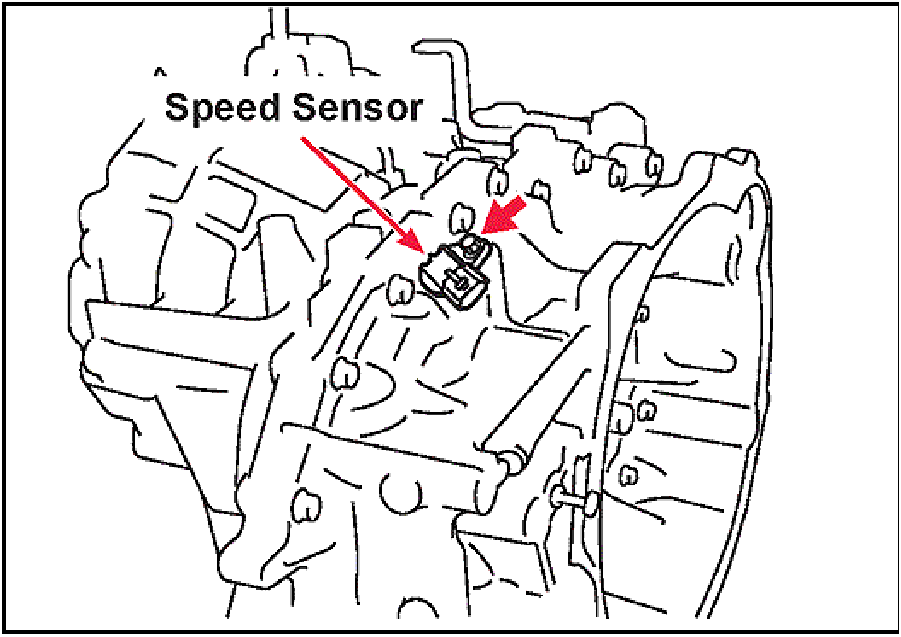 520065657_graphic-text21